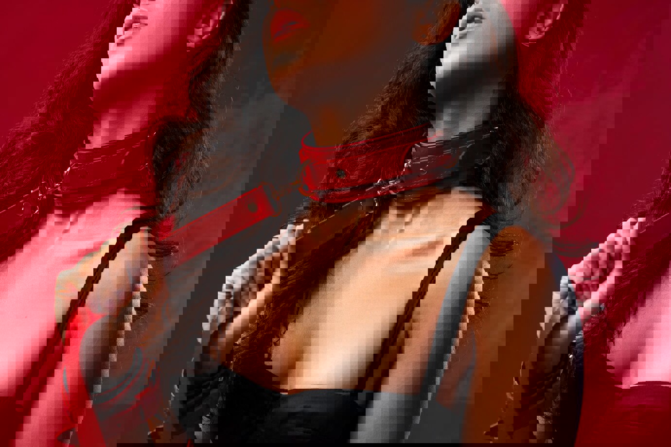 Vienna Escort Agency