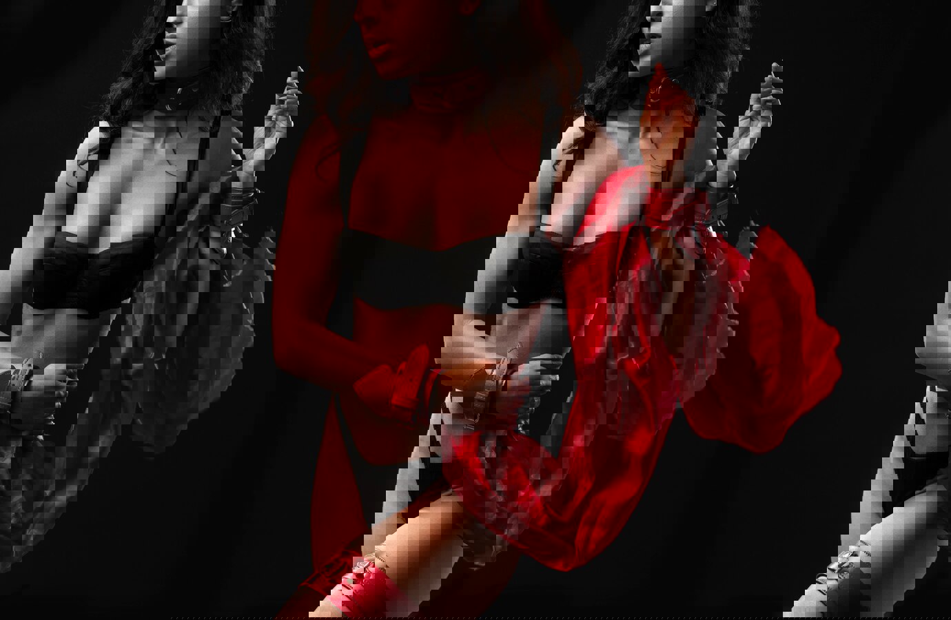 Escort Agency Vienna